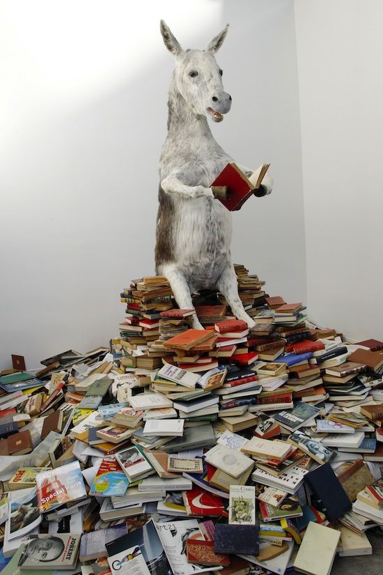 Книги не панацея