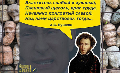 Цензура отцвела. Ягодки висят гроздями