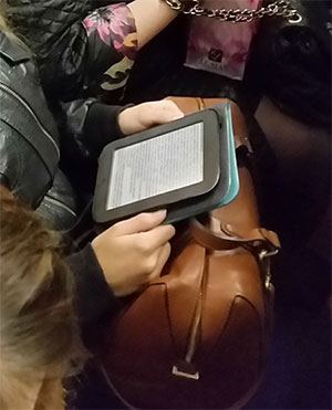 Объем рынка электронных книг в России к 2019-2020 году в денежном выражении вырастет в 2,2-2,6 раза