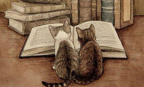 Литература - искусство не для всех Посмотреть полный размер